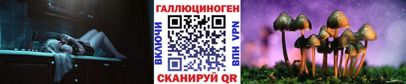 Галлюциногенные грибы Psilocybe  Омутнинск 